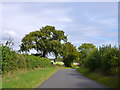 Road towards Crondall