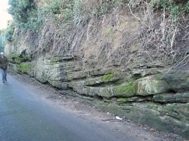 Sandstone exposure, entrance to former quarry off Wharf Street, Warwick