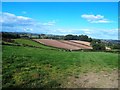 Farmland near Oak Apple Farm