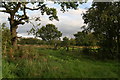 Grazing land behind Wood Farm, Grasby Road