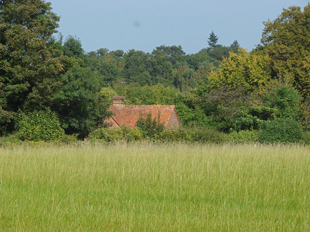 Field near West Horsley