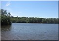 View across Hawley Lake