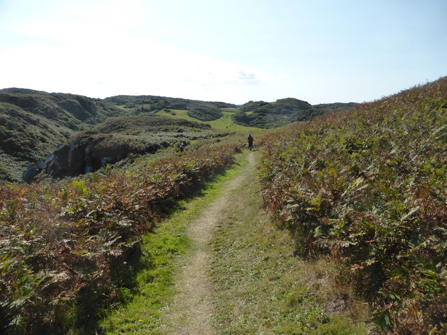 Coastal Path near Dinas Gynfor