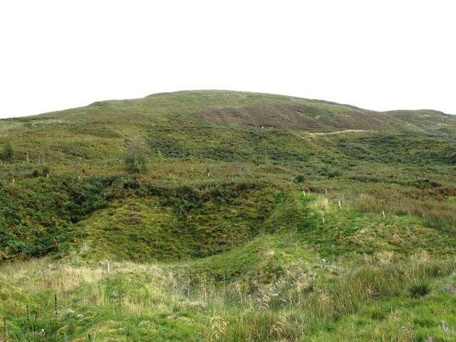 The northern slopes of Brown Fell