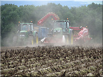 SE9916 : Potato Harvesting near Saxby All Saints by David Wright