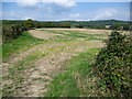 Footpath to the Greensand Ridge