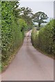 Mid Devon : Uppincott Lane