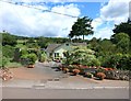 House with Flowers, Wookey Hole