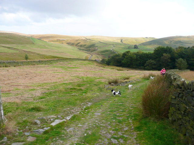 The Pennine Bridleway descending to Cold Greave Clough