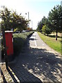 TM1941 : Path & Ravenswood Avenue Postbox by Geographer
