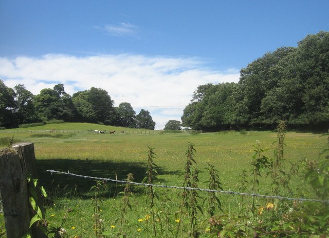 Hawley Park Farm
