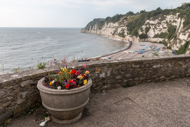 Floral Display and the Beach, Beer, Devon