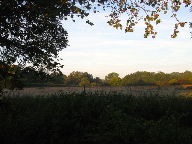 Crosspost Field