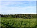 Barn Field/Barn Mead