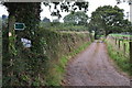 Mid Devon : Farm Track