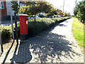 TM1941 : Path & Ravenswood Avenue Postbox by Geographer