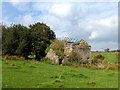 Ruined field barn 