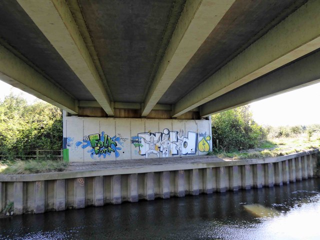 Wild graffiti on Dearne Valley Parkway bridge abutment spanning the River Dearne