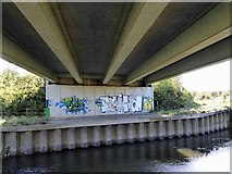 SE4203 : Wild graffiti on Dearne Valley Parkway bridge abutment spanning the River Dearne by Steve  Fareham