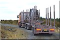 NM9310 : Empty log lorry by Patrick Mackie