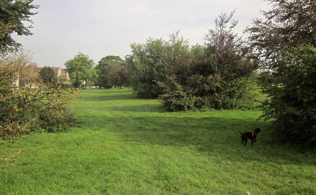 Durdham Down © Derek Harper cc-by-sa/2.0 :: Geograph Britain and Ireland