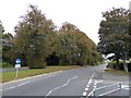 Autumn colour in Crownhill Road, Plymouth