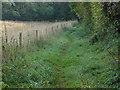 Permissive footpath, East Horsley