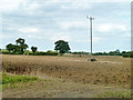 Ploughed field