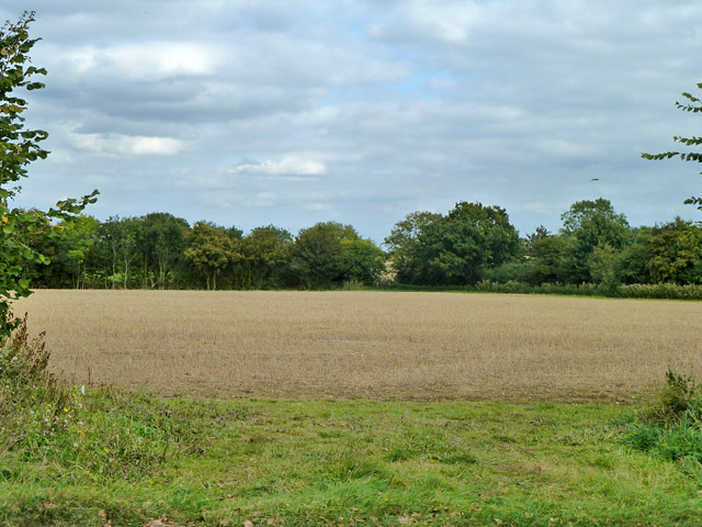 Stubble field east of Henham Road