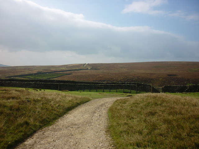 Old Moor Road and grouse butts