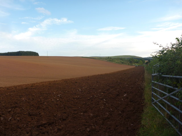 Rural East Lothian : Ploughing Near Newlands