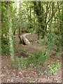 Footbridge over the Ham stream