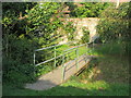 Footbridge over Littleham Brook