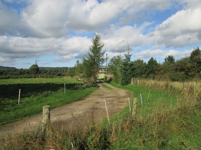 Track  to  Mount  Misery  Farm