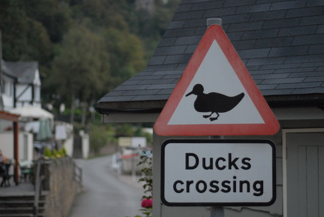 "Ducks Crossing" sign, Symonds Yat