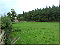 Lodge Wood and field