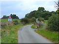 Cattle grid near Marian Lodge