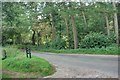 Entrance to Car Park in Clough Brook