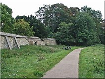 TL4457 : Coe Fen: path and Peterhouse wall by John Sutton