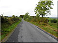 Goland Road, Cavankilgreen