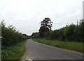 TM2291 : Low Road, Shelton by Geographer