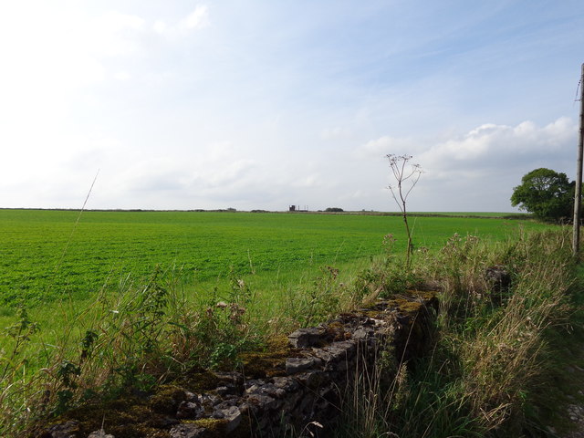 Grassland on Longbottom