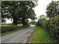 TM2290 : Low Road, Shelton by Geographer