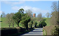 SO7595 : Road approaching Worfield, Shropshire by Roger  D Kidd