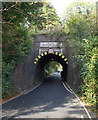 Lower Stanmore Lane railway bridge, Winchester