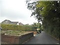 Front gardens on Hilltop Lane, Chaldon