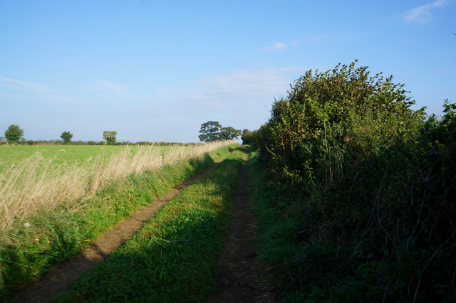 Bridleway towards Ox Close Lane