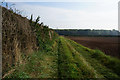 Public footpath towards Little Ouseburn