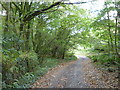 Public bridleway leading to Higher Bodrivial