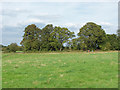 Fields west of Stoughton